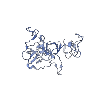 18875_8r3v_b2_v1-0
Escherichia coli paused disome complex (non-rotated disome interface)