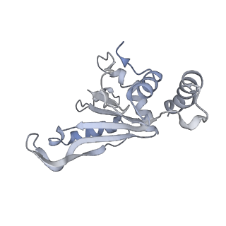 18875_8r3v_e2_v1-0
Escherichia coli paused disome complex (non-rotated disome interface)