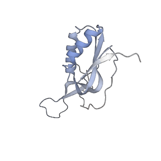 18875_8r3v_h2_v1-0
Escherichia coli paused disome complex (non-rotated disome interface)