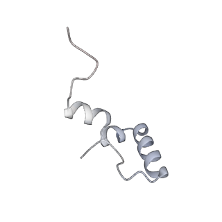 18875_8r3v_l2_v1-0
Escherichia coli paused disome complex (non-rotated disome interface)