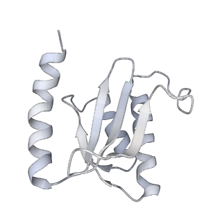 18875_8r3v_r2_v1-0
Escherichia coli paused disome complex (non-rotated disome interface)