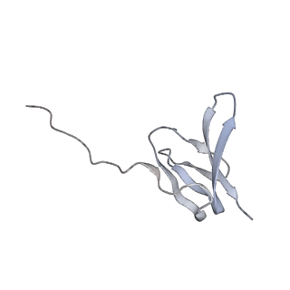 18875_8r3v_z2_v1-0
Escherichia coli paused disome complex (non-rotated disome interface)