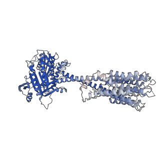 4719_6r3q_A_v1-1
The structure of a membrane adenylyl cyclase bound to an activated stimulatory G protein