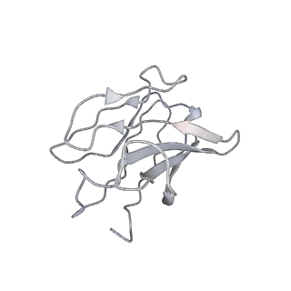 14250_7r40_E_v1-3
Structure of the SARS-CoV-2 spike glycoprotein in complex with the 87G7 antibody Fab fragment