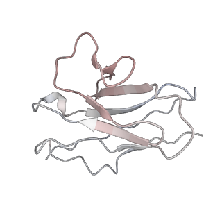 14250_7r40_F_v1-3
Structure of the SARS-CoV-2 spike glycoprotein in complex with the 87G7 antibody Fab fragment