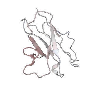 14250_7r40_G_v1-3
Structure of the SARS-CoV-2 spike glycoprotein in complex with the 87G7 antibody Fab fragment