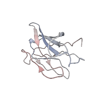 14250_7r40_H_v1-3
Structure of the SARS-CoV-2 spike glycoprotein in complex with the 87G7 antibody Fab fragment
