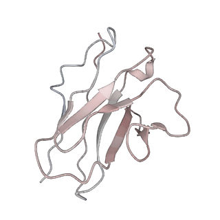 14250_7r40_L_v1-3
Structure of the SARS-CoV-2 spike glycoprotein in complex with the 87G7 antibody Fab fragment