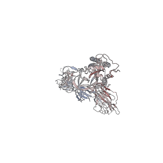 14315_7r4r_C_v1-0
The SARS-CoV-2 spike in complex with the 1.10 neutralizing nanobody
