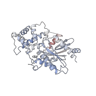 4721_6r4o_B_v1-1
Structure of a truncated adenylyl cyclase bound to MANT-GTP, forskolin and an activated stimulatory Galphas protein