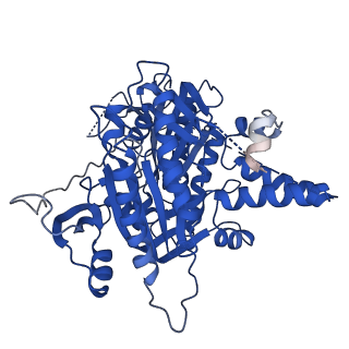 4722_6r4p_A_v1-1
Structure of a soluble domain of adenylyl cyclase bound to an activated stimulatory G protein