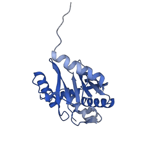 14331_7r5m_A_v1-1
Core-binding domain of fungal E3-binding domain bound to the pyruvate dehydrogenase E2 core