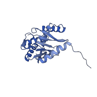 14331_7r5m_B_v1-1
Core-binding domain of fungal E3-binding domain bound to the pyruvate dehydrogenase E2 core