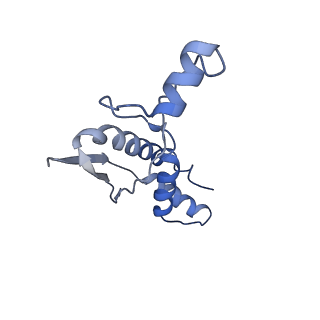 14331_7r5m_F_v1-1
Core-binding domain of fungal E3-binding domain bound to the pyruvate dehydrogenase E2 core