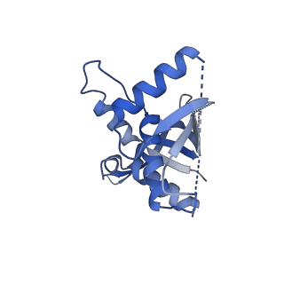 14331_7r5m_H_v1-1
Core-binding domain of fungal E3-binding domain bound to the pyruvate dehydrogenase E2 core