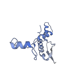 14331_7r5m_J_v1-1
Core-binding domain of fungal E3-binding domain bound to the pyruvate dehydrogenase E2 core