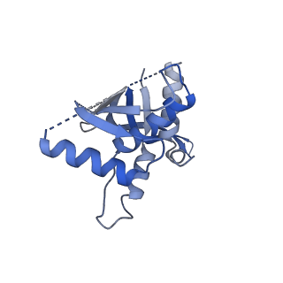 14331_7r5m_K_v1-1
Core-binding domain of fungal E3-binding domain bound to the pyruvate dehydrogenase E2 core