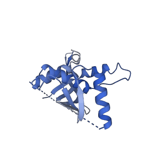 14331_7r5m_L_v1-1
Core-binding domain of fungal E3-binding domain bound to the pyruvate dehydrogenase E2 core