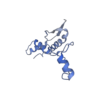 14331_7r5m_M_v1-1
Core-binding domain of fungal E3-binding domain bound to the pyruvate dehydrogenase E2 core