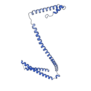 14336_7r5s_H_v1-1
Structure of the human CCAN bound to alpha satellite DNA