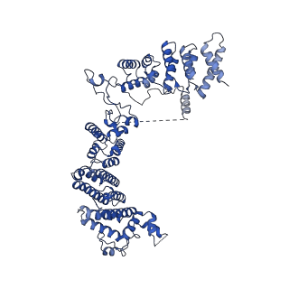 14336_7r5s_I_v1-1
Structure of the human CCAN bound to alpha satellite DNA