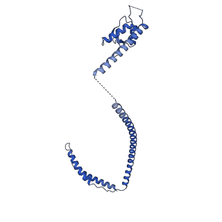 14336_7r5s_K_v1-1
Structure of the human CCAN bound to alpha satellite DNA