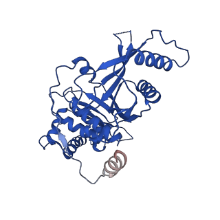 14336_7r5s_L_v1-1
Structure of the human CCAN bound to alpha satellite DNA