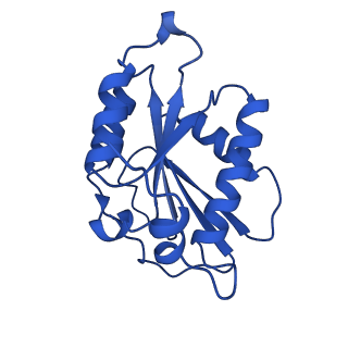 14336_7r5s_M_v1-1
Structure of the human CCAN bound to alpha satellite DNA