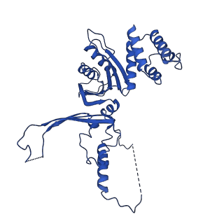 14336_7r5s_N_v1-1
Structure of the human CCAN bound to alpha satellite DNA