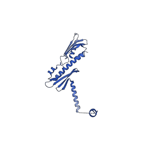14336_7r5s_O_v1-1
Structure of the human CCAN bound to alpha satellite DNA