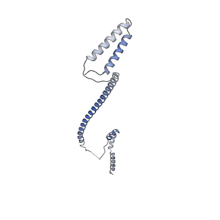 14336_7r5s_Q_v1-1
Structure of the human CCAN bound to alpha satellite DNA