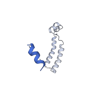 14336_7r5s_R_v1-1
Structure of the human CCAN bound to alpha satellite DNA