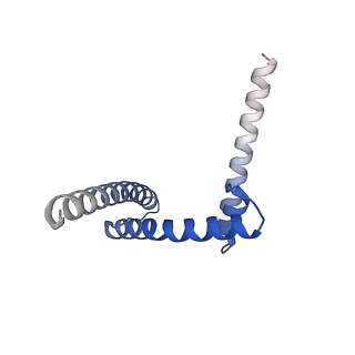 14336_7r5s_S_v1-1
Structure of the human CCAN bound to alpha satellite DNA