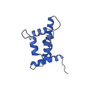 14336_7r5s_T_v1-1
Structure of the human CCAN bound to alpha satellite DNA