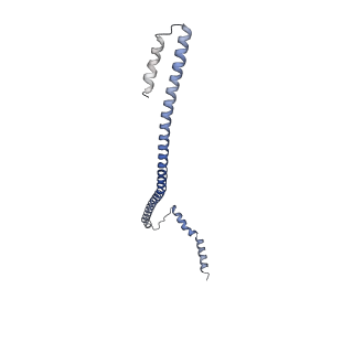14336_7r5s_U_v1-1
Structure of the human CCAN bound to alpha satellite DNA