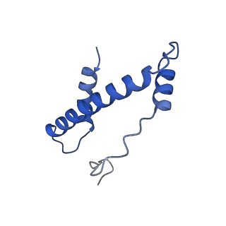 14336_7r5s_W_v1-1
Structure of the human CCAN bound to alpha satellite DNA