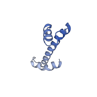 14336_7r5s_X_v1-1
Structure of the human CCAN bound to alpha satellite DNA