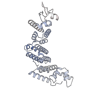 14341_7r5v_I_v1-1
Structure of the human CCAN CENP-A alpha-satellite complex