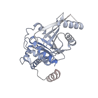 14341_7r5v_L_v1-1
Structure of the human CCAN CENP-A alpha-satellite complex
