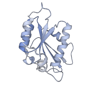 14341_7r5v_M_v1-1
Structure of the human CCAN CENP-A alpha-satellite complex