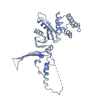 14341_7r5v_N_v1-1
Structure of the human CCAN CENP-A alpha-satellite complex