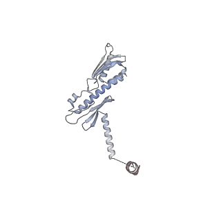 14341_7r5v_O_v1-1
Structure of the human CCAN CENP-A alpha-satellite complex
