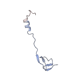18901_8r55_0_v1-0
Bacillus subtilis MutS2-collided disome complex (stalled 70S)