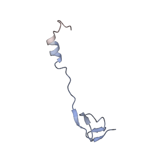 18901_8r55_0_v1-2
Bacillus subtilis MutS2-collided disome complex (collided 70S)