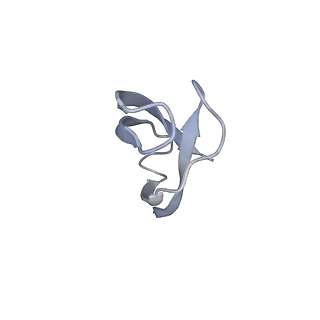 18901_8r55_1_v1-2
Bacillus subtilis MutS2-collided disome complex (collided 70S)