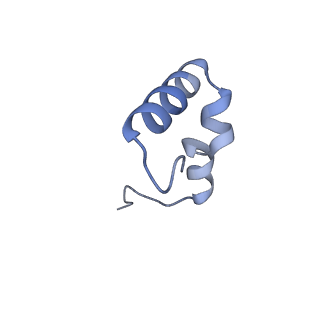18901_8r55_2_v1-0
Bacillus subtilis MutS2-collided disome complex (stalled 70S)