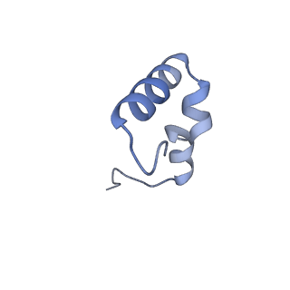 18901_8r55_2_v1-2
Bacillus subtilis MutS2-collided disome complex (collided 70S)