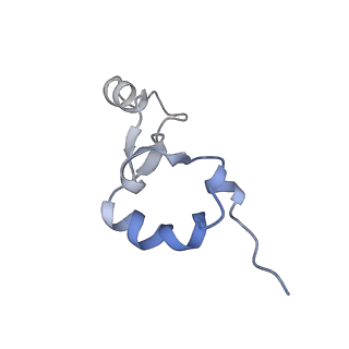 18901_8r55_3_v1-0
Bacillus subtilis MutS2-collided disome complex (stalled 70S)