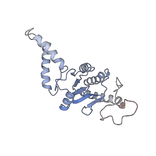 18901_8r55_B_v1-0
Bacillus subtilis MutS2-collided disome complex (stalled 70S)