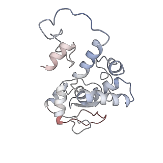 18901_8r55_D_v1-0
Bacillus subtilis MutS2-collided disome complex (stalled 70S)